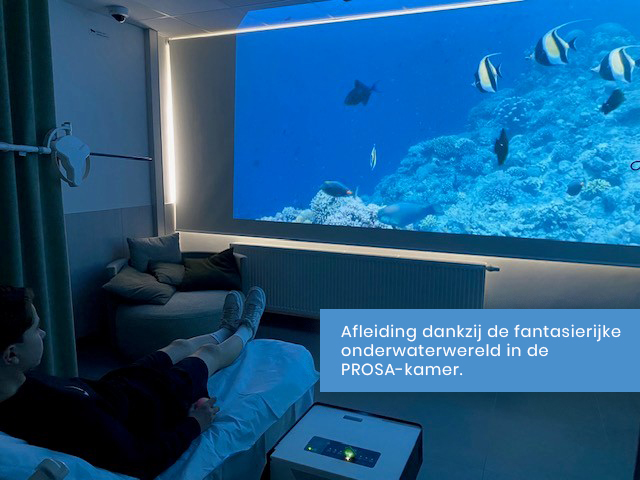 PROSA-kamer